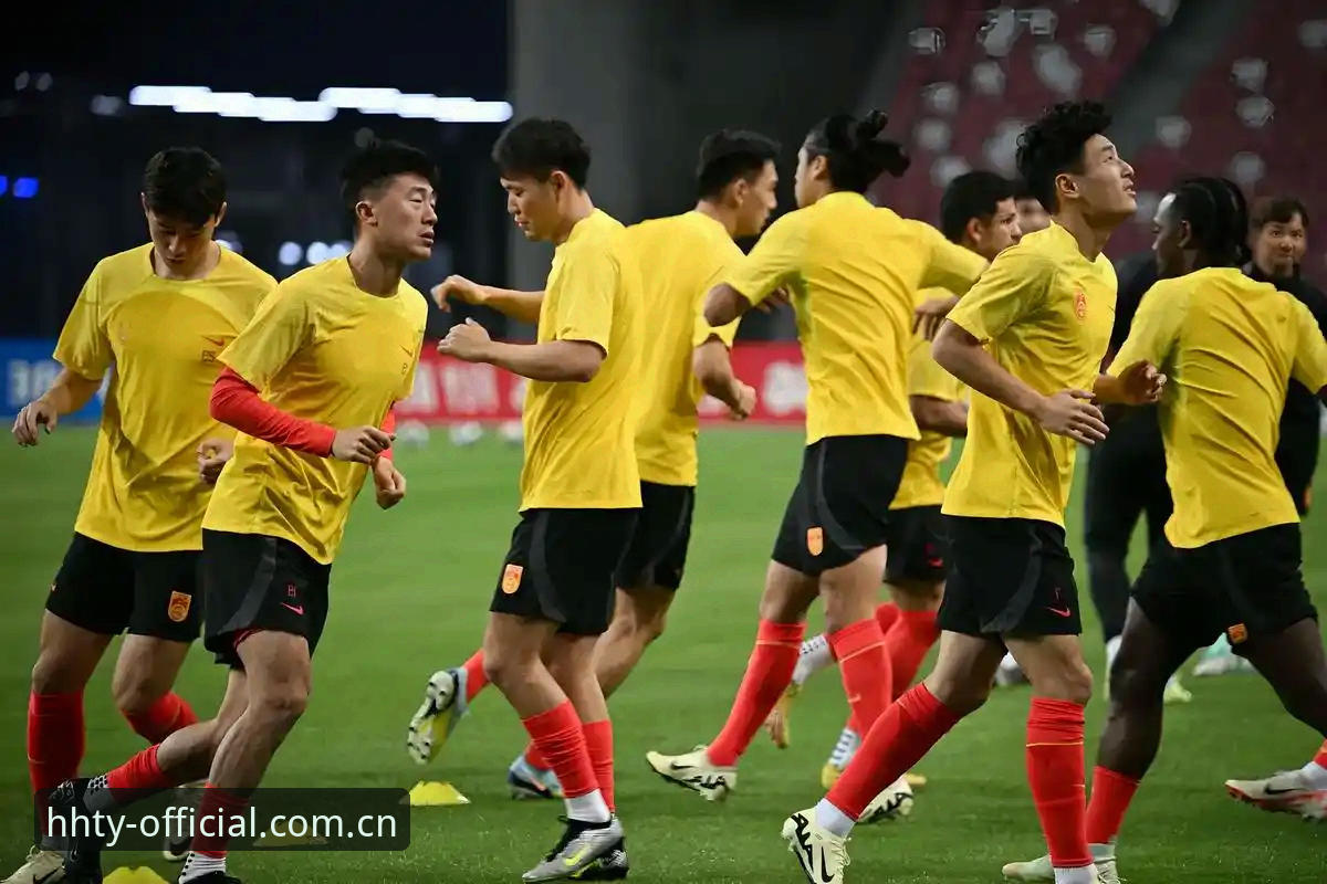 世界杯66队扩军vs48队现状：中国男足的机会与挑战，浩瀚体育官网深度解读